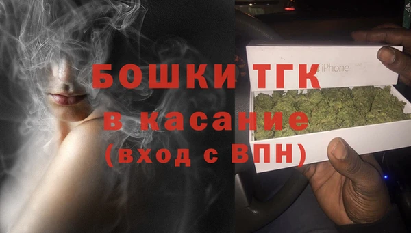 ПСИЛОЦИБИНОВЫЕ ГРИБЫ Гусев