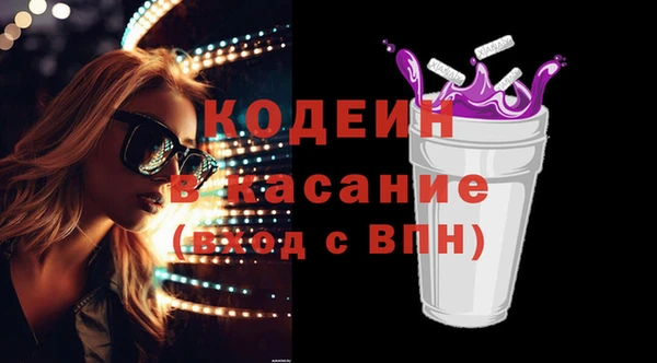 амф Гусь-Хрустальный
