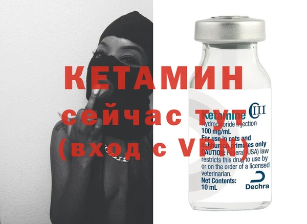 амф Гусь-Хрустальный