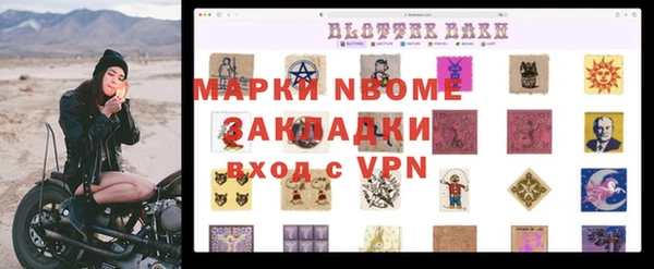 ПСИЛОЦИБИНОВЫЕ ГРИБЫ Гусев
