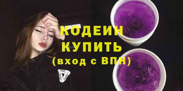 ПСИЛОЦИБИНОВЫЕ ГРИБЫ Гусев