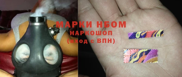 амф Гусь-Хрустальный