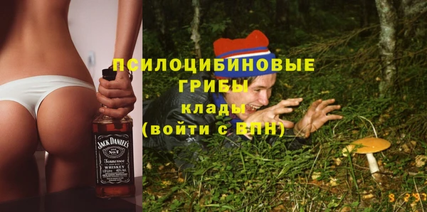 ПСИЛОЦИБИНОВЫЕ ГРИБЫ Гусев