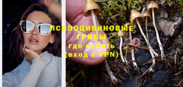 ПСИЛОЦИБИНОВЫЕ ГРИБЫ Гусев