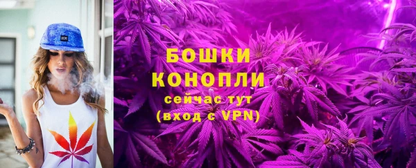 ПСИЛОЦИБИНОВЫЕ ГРИБЫ Гусев
