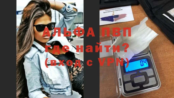 амф Гусь-Хрустальный