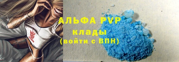ПСИЛОЦИБИНОВЫЕ ГРИБЫ Гусев