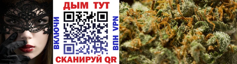 Купить закладки  Тара  Конопля планчик 
